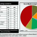 **Image Prompt:** A diversified investment portfolio pie chart displaying allocations to VN30, banking sector index, bond market index, and potentially a small allocation to an international index like S&P